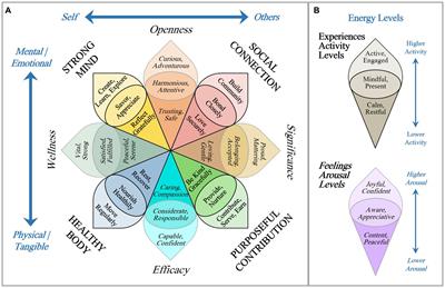 Well-being balance and lived experiences assessment: a valid, comprehensive measure of positive well-being